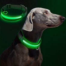 Load image into Gallery viewer, Pet Dog, Cat night safety led light luminous collar