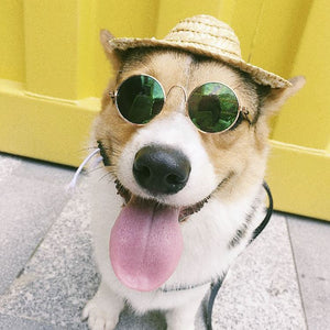 Pet Dog, Cat Round Wire Frame Sun glasses