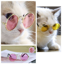Load image into Gallery viewer, Pet Dog, Cat Round Wire Frame Sun glasses