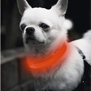 Pet Dog, Cat night safety led light luminous collar